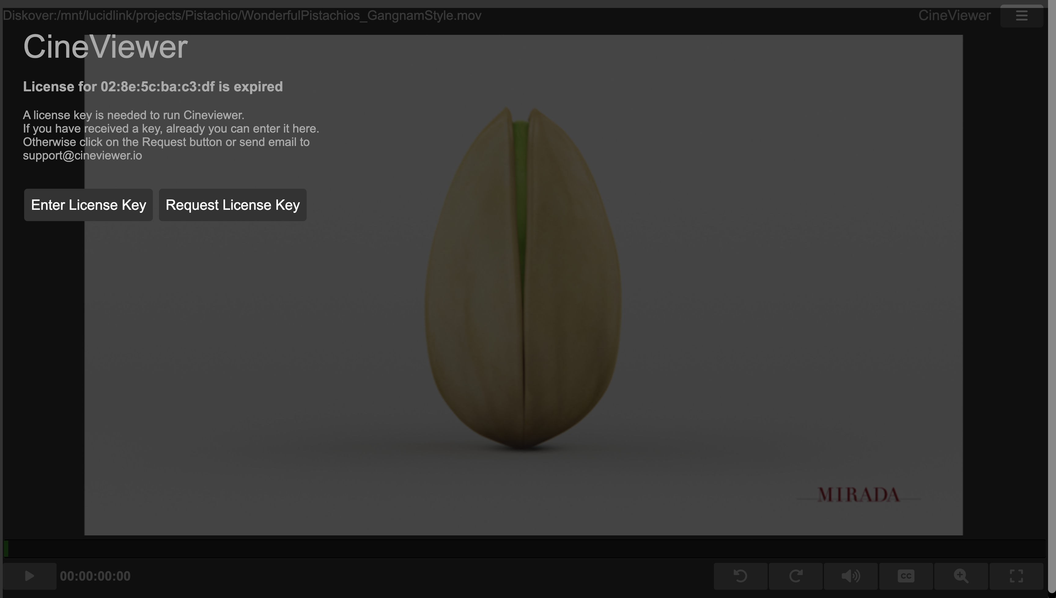 Image: CineViewer Player License Request and Installation