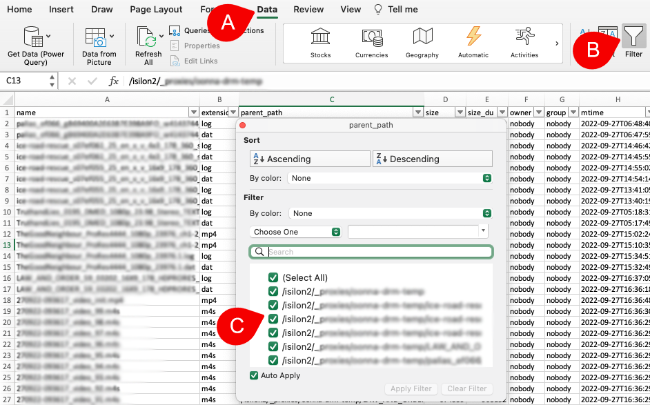 Image: Filter in Excel