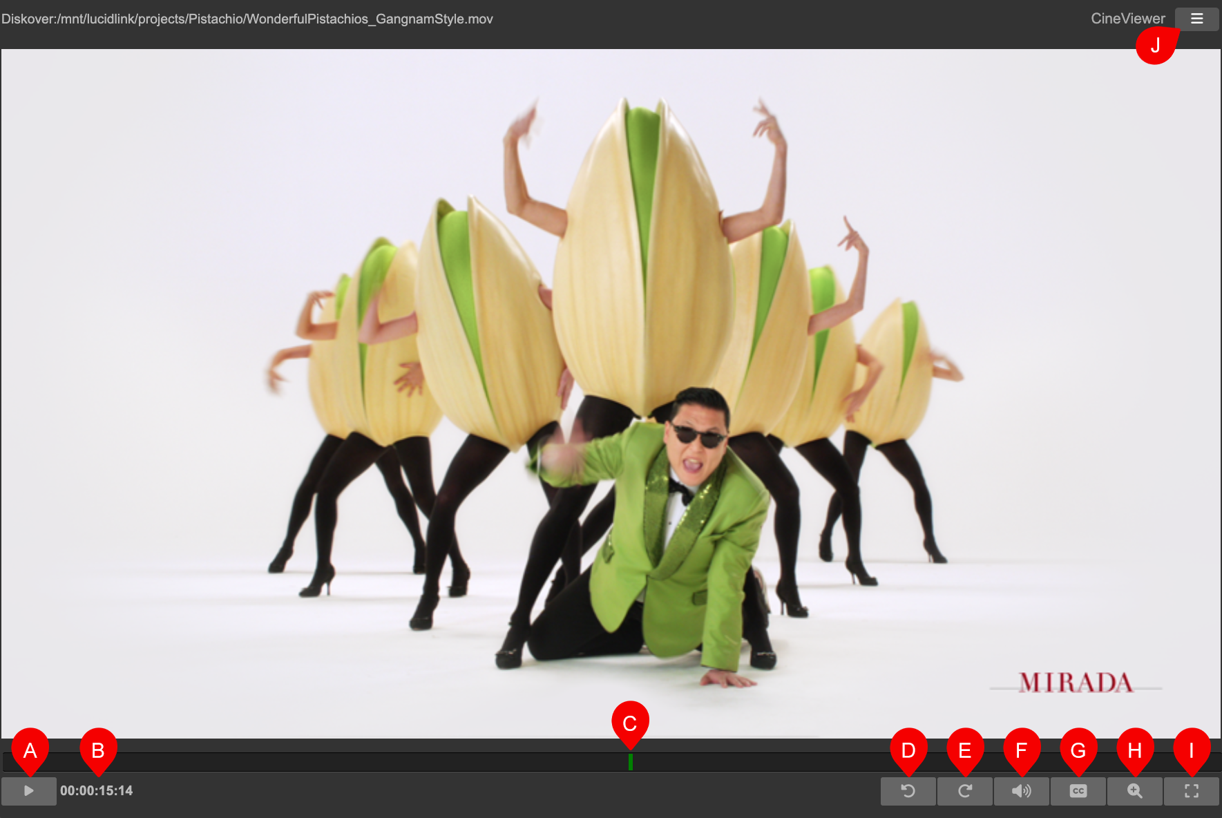 Image: Telestream GLIM Preview