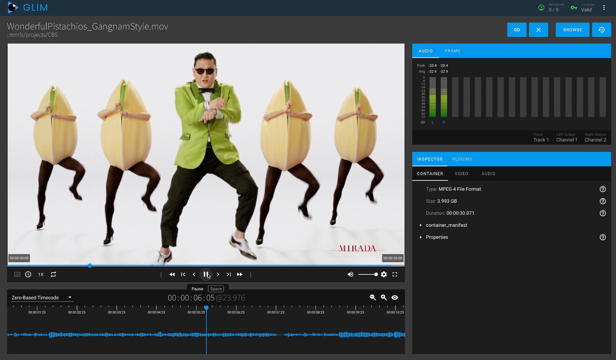 Image: Telestream GLIM Preview