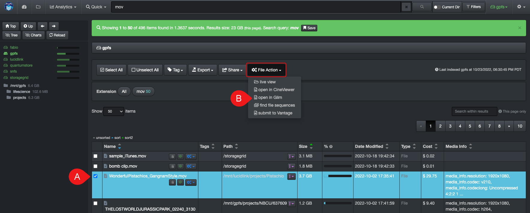 Image: Telestream GLIM Preview File Selection